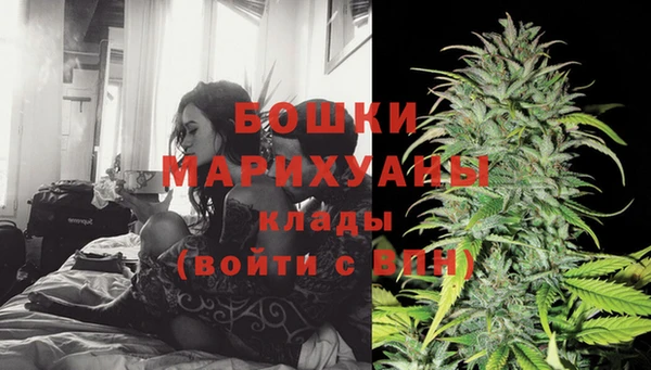 гидра Елизово