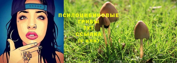 спайс Заволжье
